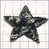 Sequin Star
